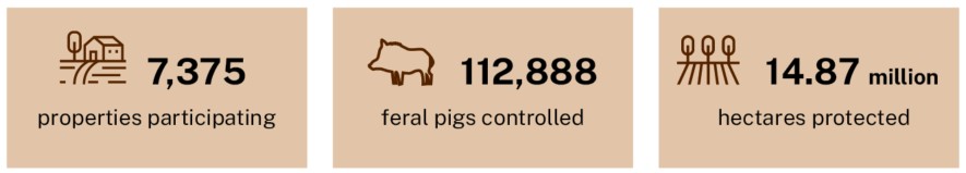 Three beige boxes with statistics and icons representing outcomes from the Feral Pig Program. 7,375 properties participating, 112,888 feral pigs controlled and 14.87 million hectares protected.