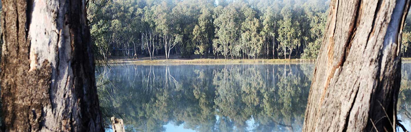 A serene river view, the water is blue and like glass with the reflection of the tree line in the background. Image by Rita Attwood