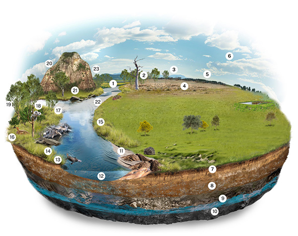 A cross-sectional illustration of a landscape showing various ecosystems and geological layers, including a river, grassland, trees, and rock formations, with numbered points for reference.