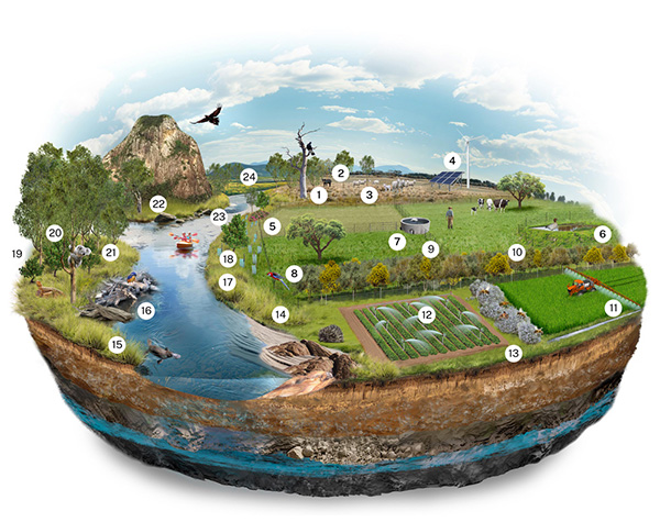 A cross-sectional illustration of a landscape showing various environmental services, including fencing to exclude stock and pests, renewable energy infrastructure, carbon sequestration zone, cultural (cool) burning and rehabilitating waterways, with numbered points for reference. 