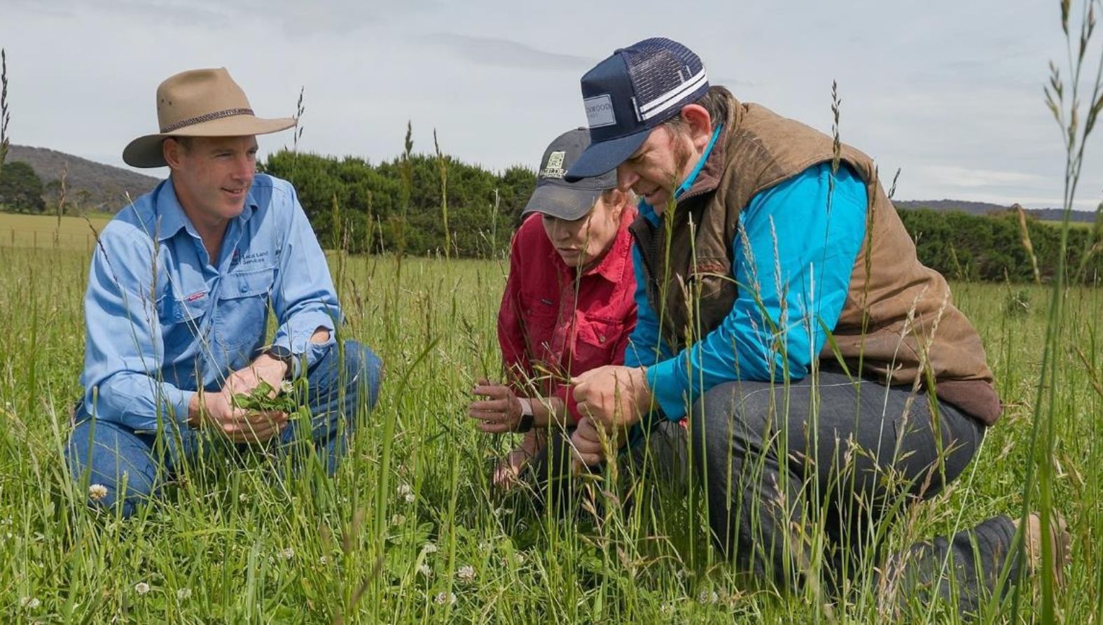 3 farmers crouching in tall grass engaged in conversation