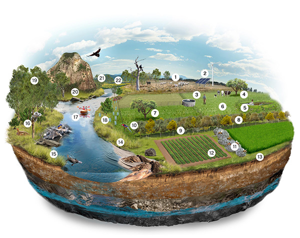 A cross-sectional illustration of a landscape showing various ecosystem services, including timber production, pollination, forage and fodder for animals, nutrient recycling and habitat provision, with numbered points for reference. 