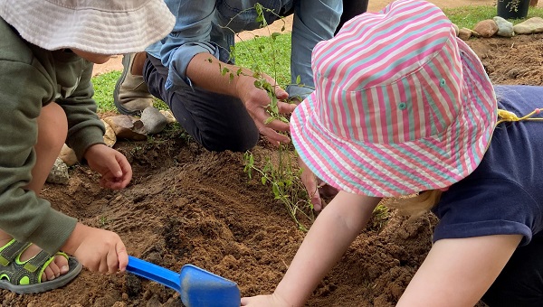 Kids wearing hats planting a sapling