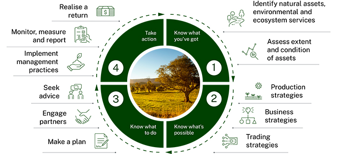 A circular diagram details a four-step process for natural asset management: knowing what's present, understanding possibilities, taking action, and monitoring/reporting. Various strategies surround the circle.