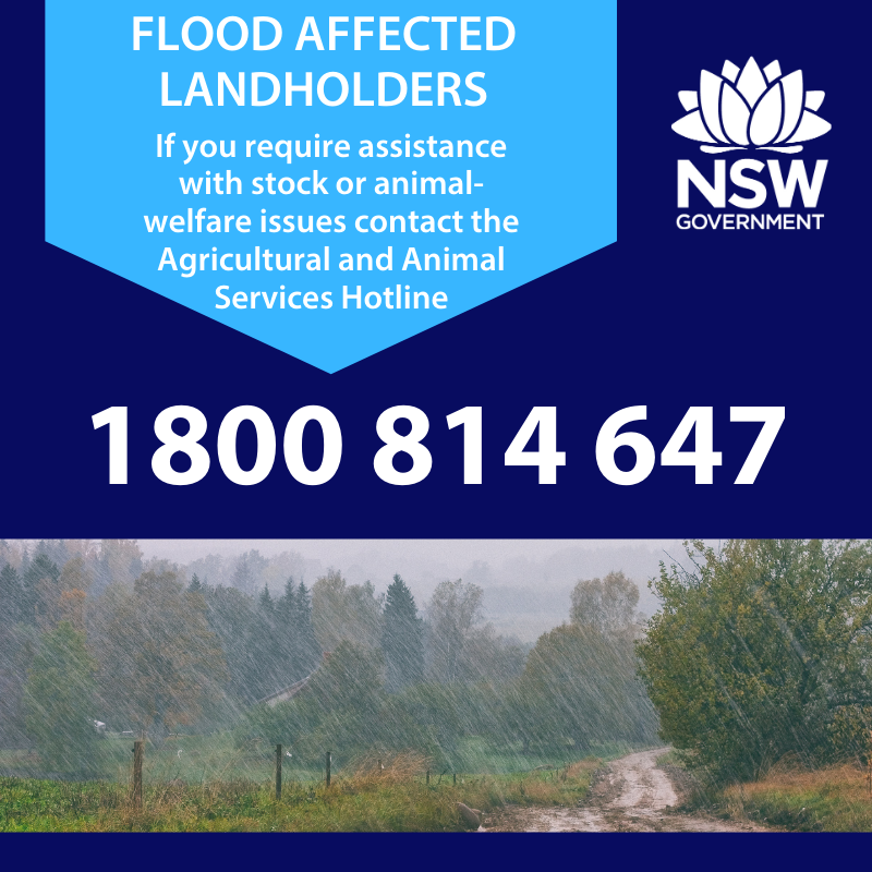 Animal and Agriculture Service Hotline for Flooding