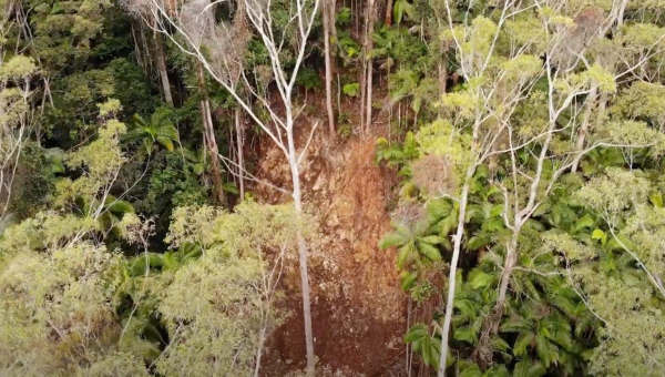 A long landslip seen from above through trees
